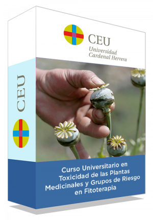 courseInfo