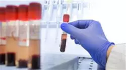 maestria online investigacion medica deporte
