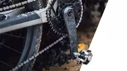 ##IMAGE##