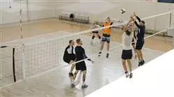 diplomado online modalidades voleibol