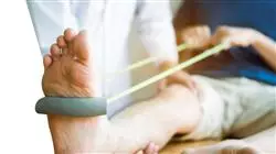 ##IMAGE##