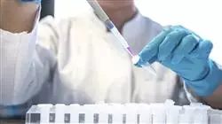 ##IMAGE##