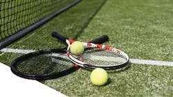 master online tenis alto rendimiento competicion