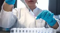 ##IMAGE##