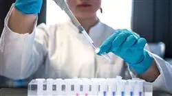 ##IMAGE##