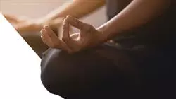 ##IMAGE##