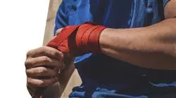 ##IMAGE##