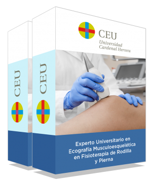 courseInfo