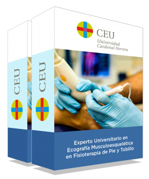 courseInfo