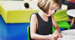 especializacion didáctica de la geografía e historia en educación primaria