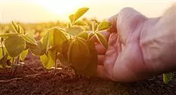 curso enseñanza de geografía humana para docentes de secundaria