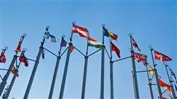 especializacion online didactica ciencias sociales politicas