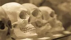 ##IMAGE##