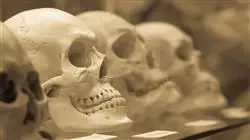 ##IMAGE##