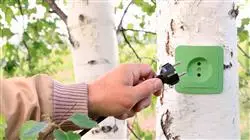 ##IMAGE##