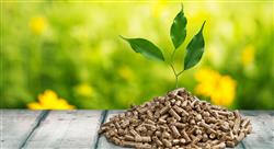 especializacion biomasa biocombustibles y otras fuentes de energías renovables emergentes