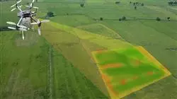 ##IMAGE##