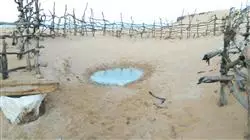 ##IMAGE##
