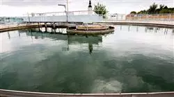 ##IMAGE##