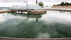 ##IMAGE##