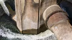 ##IMAGE##