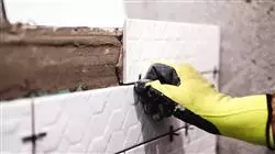 ##IMAGE##