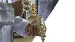 ##IMAGE##