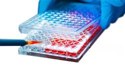 estudiar ingenieria tisular medicina regenerativa