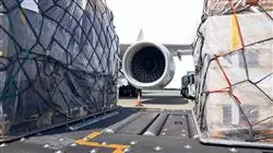 ##IMAGE##
