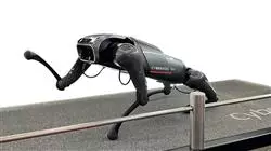 ##IMAGE##