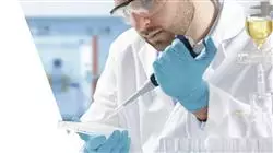 ##IMAGE##