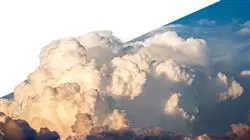 ##IMAGE##