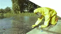 ##IMAGE##
