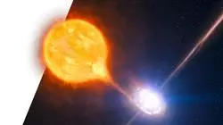 ##IMAGE##