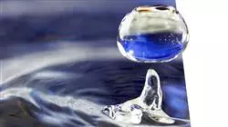 ##IMAGE##