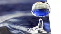 ##IMAGE##