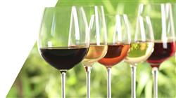 curso online especialista viticultura