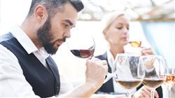 diplomado cata reconocimiento defectos vinos