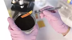 ##IMAGE##