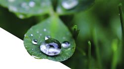 experto tecnologia energetica hidrogeno