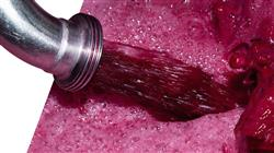 diplomado analisis quimico compuestos uva vino