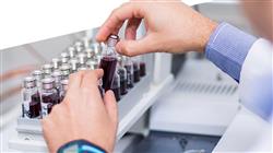 curso especialista microbiologia enologica