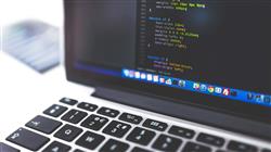 experto online base datos