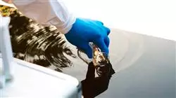 ##IMAGE##