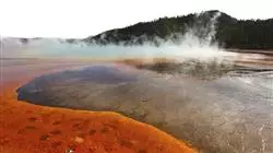 ##IMAGE##