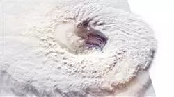 ##IMAGE##