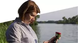 ##IMAGE##