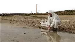 ##IMAGE##