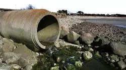 ##IMAGE##