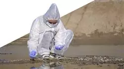 ##IMAGE##